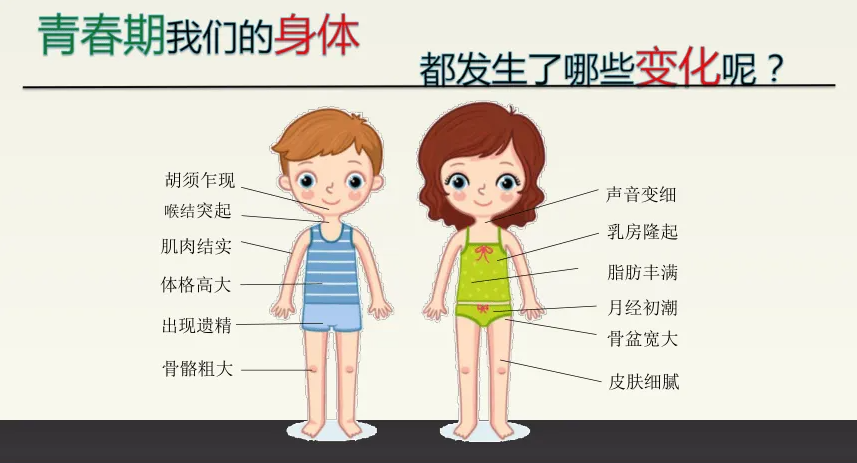 警惕！这些信号预示孩子“停止生长”(图4)